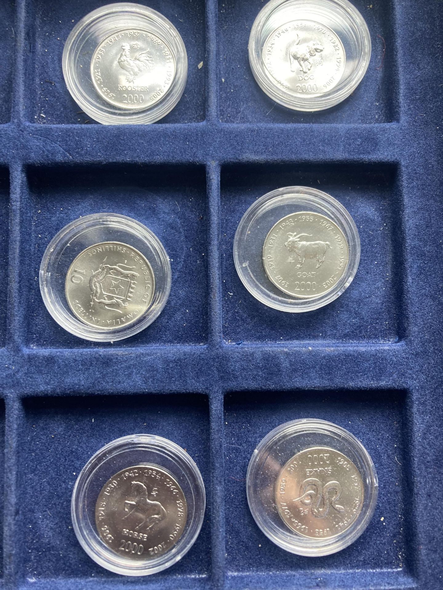 SOMALIA , A SELECTION OF 12 ENCAPSULATED TEN SHILLING COINS FROM 2000 - Bild 3 aus 4