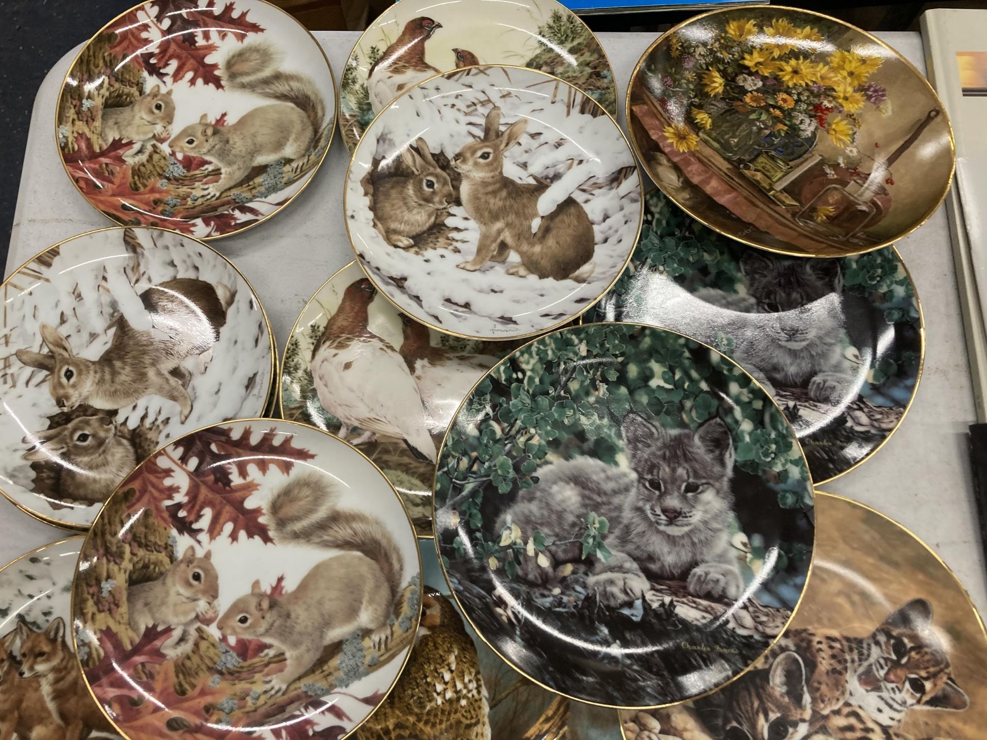 A LARGE COLLECTION OF CABINET/WALL PLATES WITH ANIMAL PICTURES - 18 IN TOTAL - Image 3 of 3