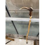 A VINTAGE WOODEN WALKING STICK WITH ANTLER HANDLE