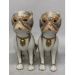 A PAIR OF UNUSUAL CONTINENTAL PORCELAIN DOG FIGURES WITH GILT COLOURED BELL COLLARS