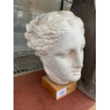 A SMALL PLASTER BUST OF A FEMALE