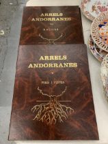 TWO BINDERS OF 'ARRELS ANDORRANES' PRINTS, V - FIRES I FESTES AND VI RACONS
