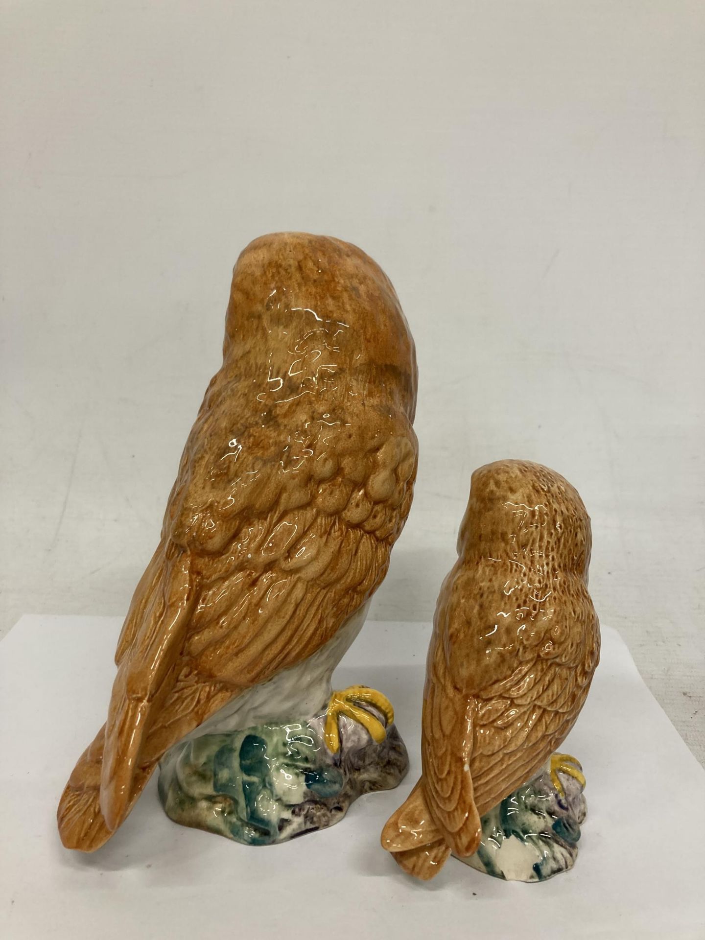 TWO BESWICK OWLS - Image 3 of 4