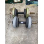 A PAIR OF DUMB BELL WEIGHTS