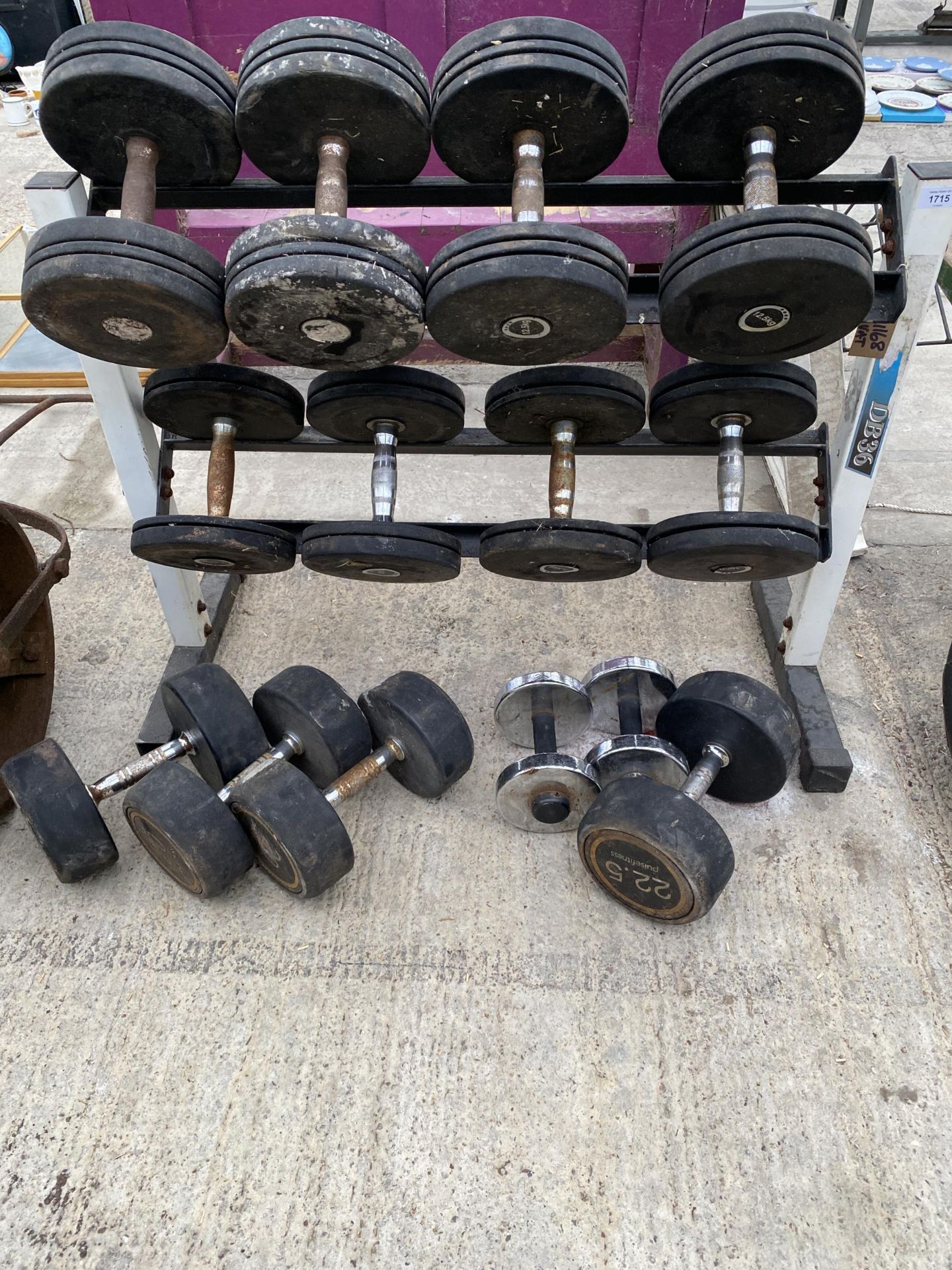 A DUMB BELL STAND AND AN ASSORTMENT OF DUMB BELL WEIGHTS