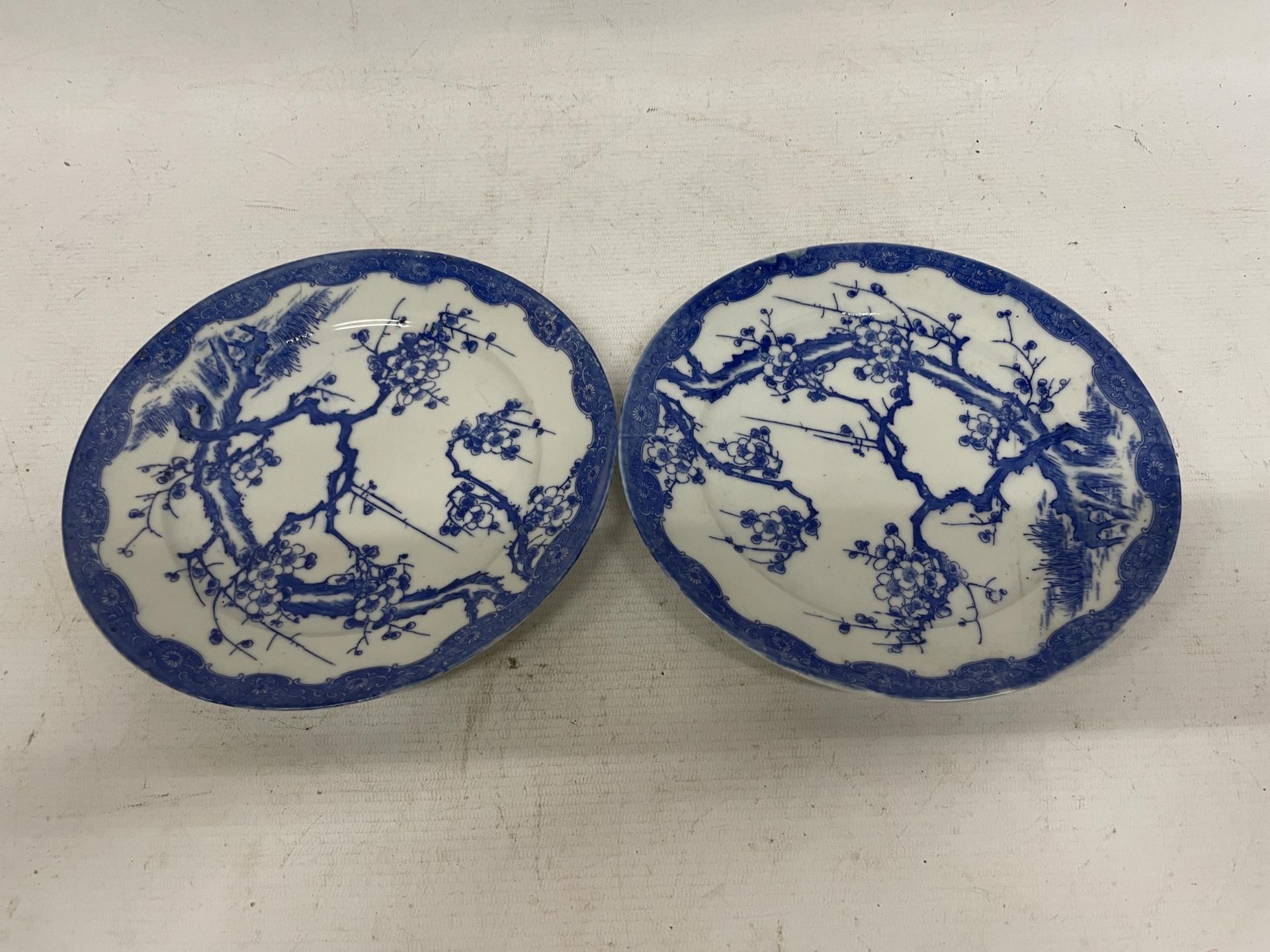 A PAIR OF JAPANESE BLUE AND WHITE PORCELAIN PLATES