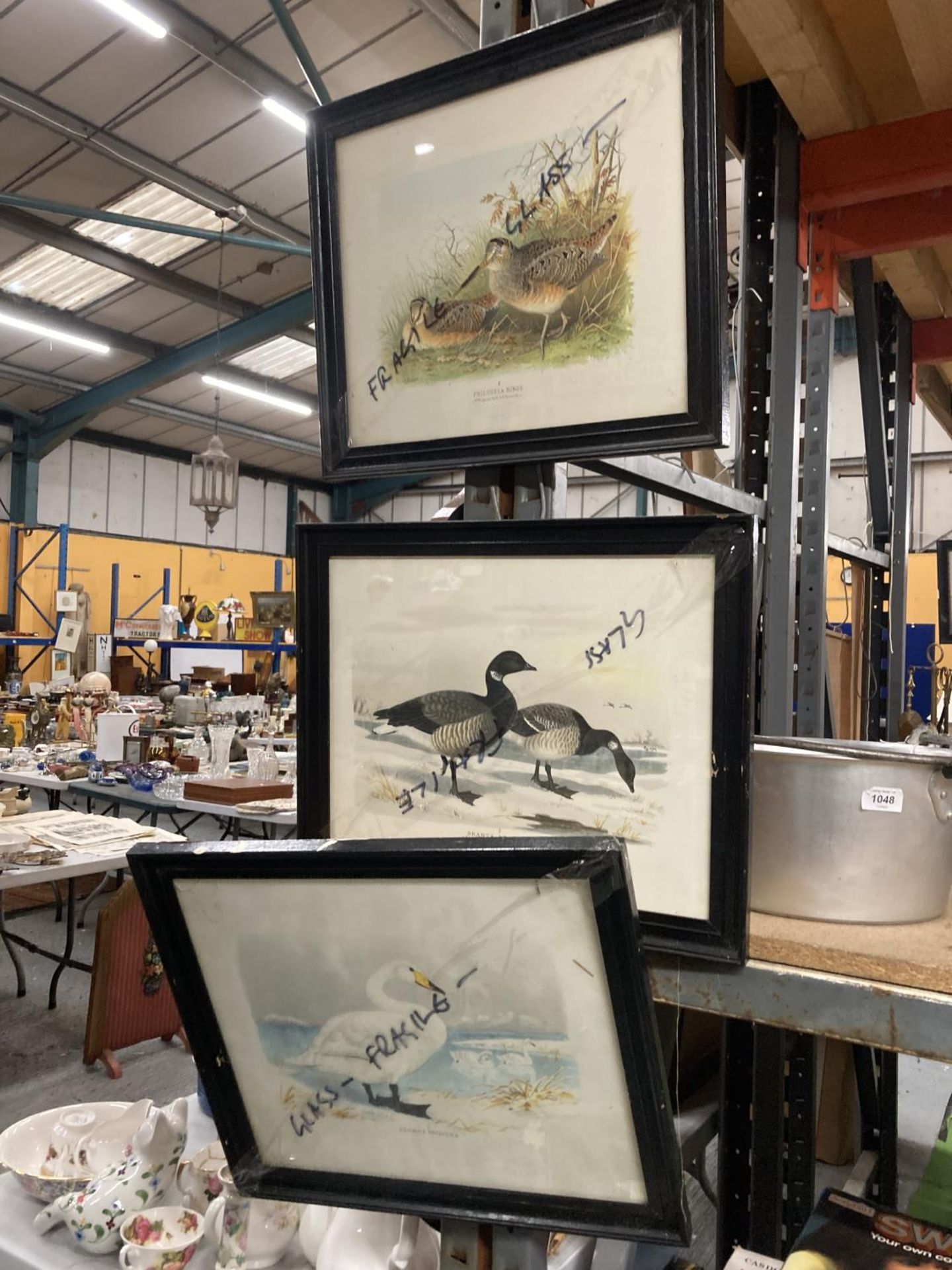 THREE FRAMED LITHOGRAPHS OF BIRDS OF THE WETLANDS