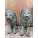 A PAIR OF DECORATIVE BRONZE SEATED LIONS (H:77CM)