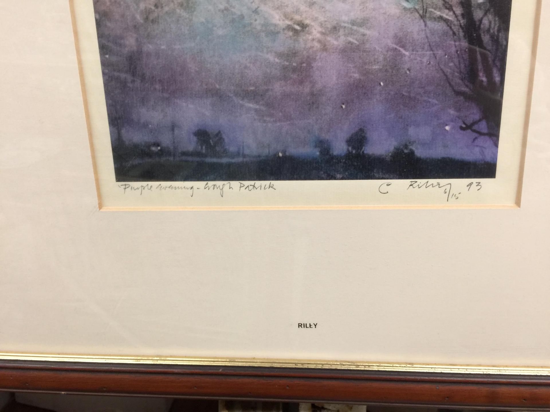 A PENCIL SIGNED LIMITED EDITION PRINT BY C RILEY, '93, NUMBERED 6/15, TITLED 'PURPLE AWAKENING' - Bild 2 aus 2