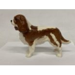 A BESWICK KING CHARLES SPANIEL