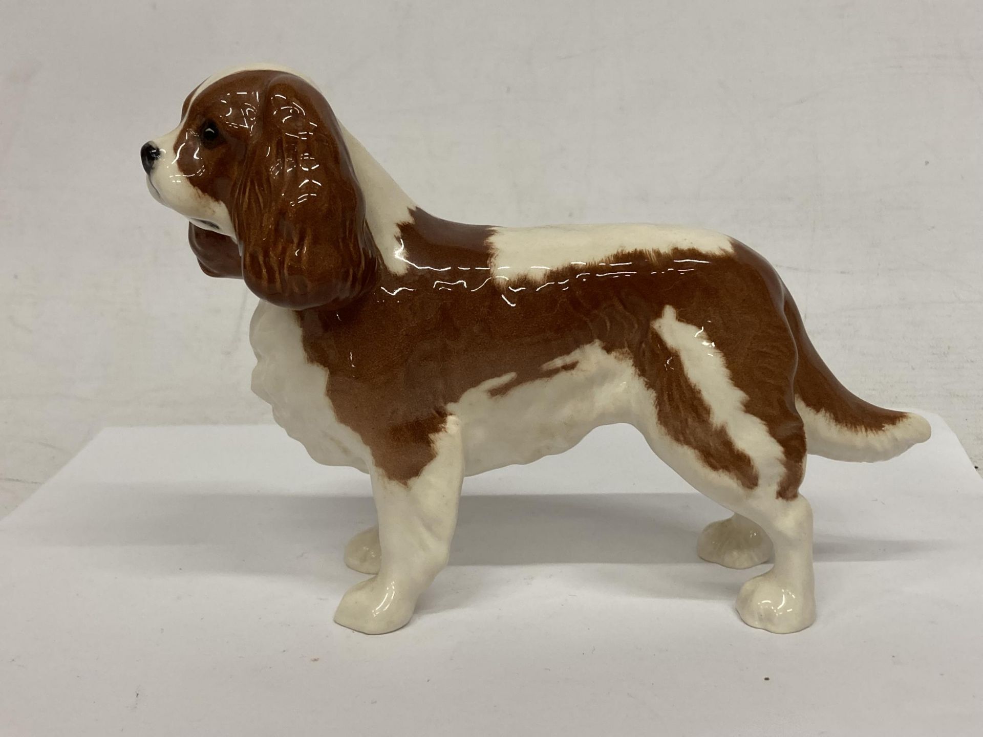 A BESWICK KING CHARLES SPANIEL