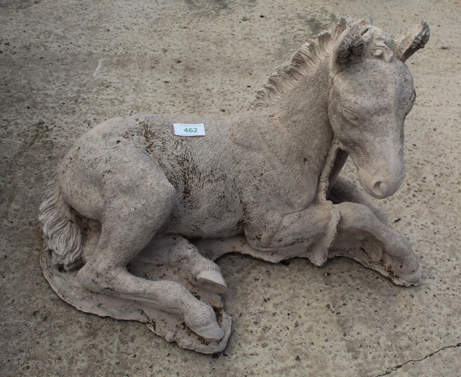 HORSE LYING NO VAT