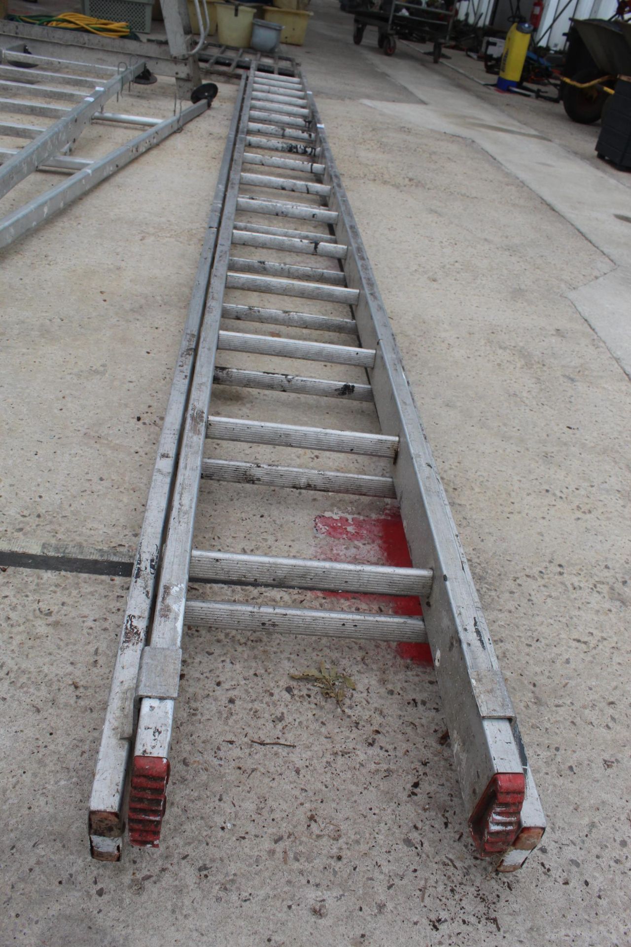 LADDER NO VAT