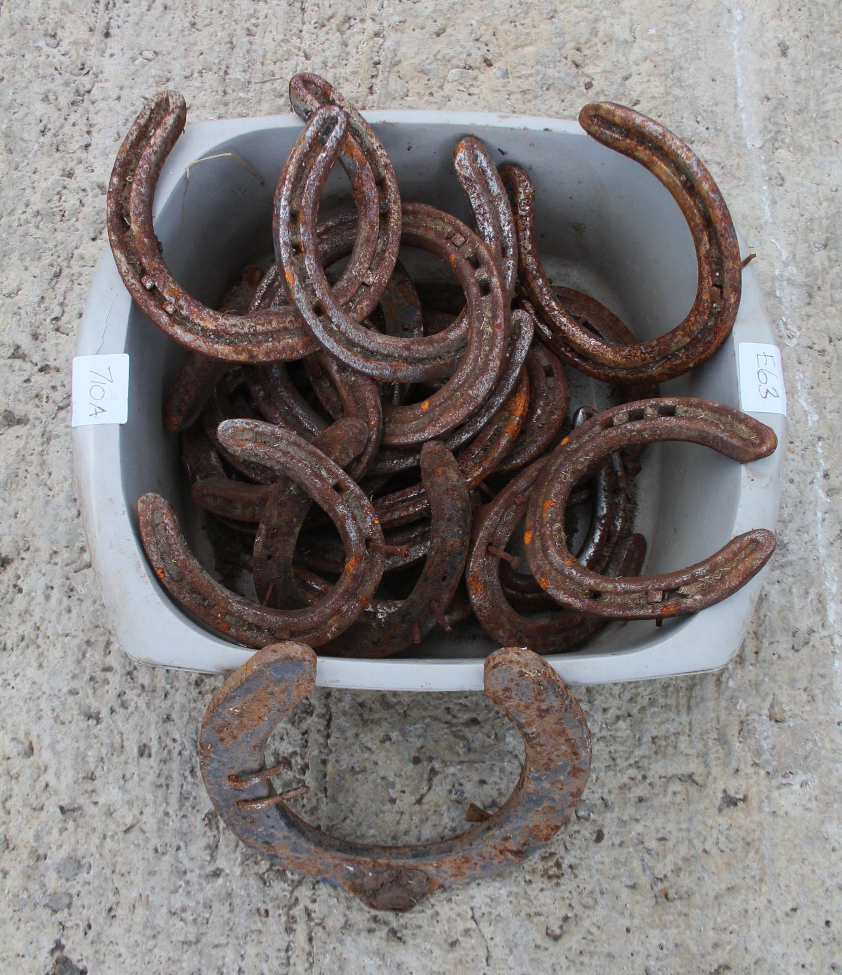 A BOX OF HORSE SHOES INCLUDING SHIRE HORSE SHOE - THIS TO BE COLLECTED FROM THE CHECKING OUT DOOR NO - Image 2 of 2