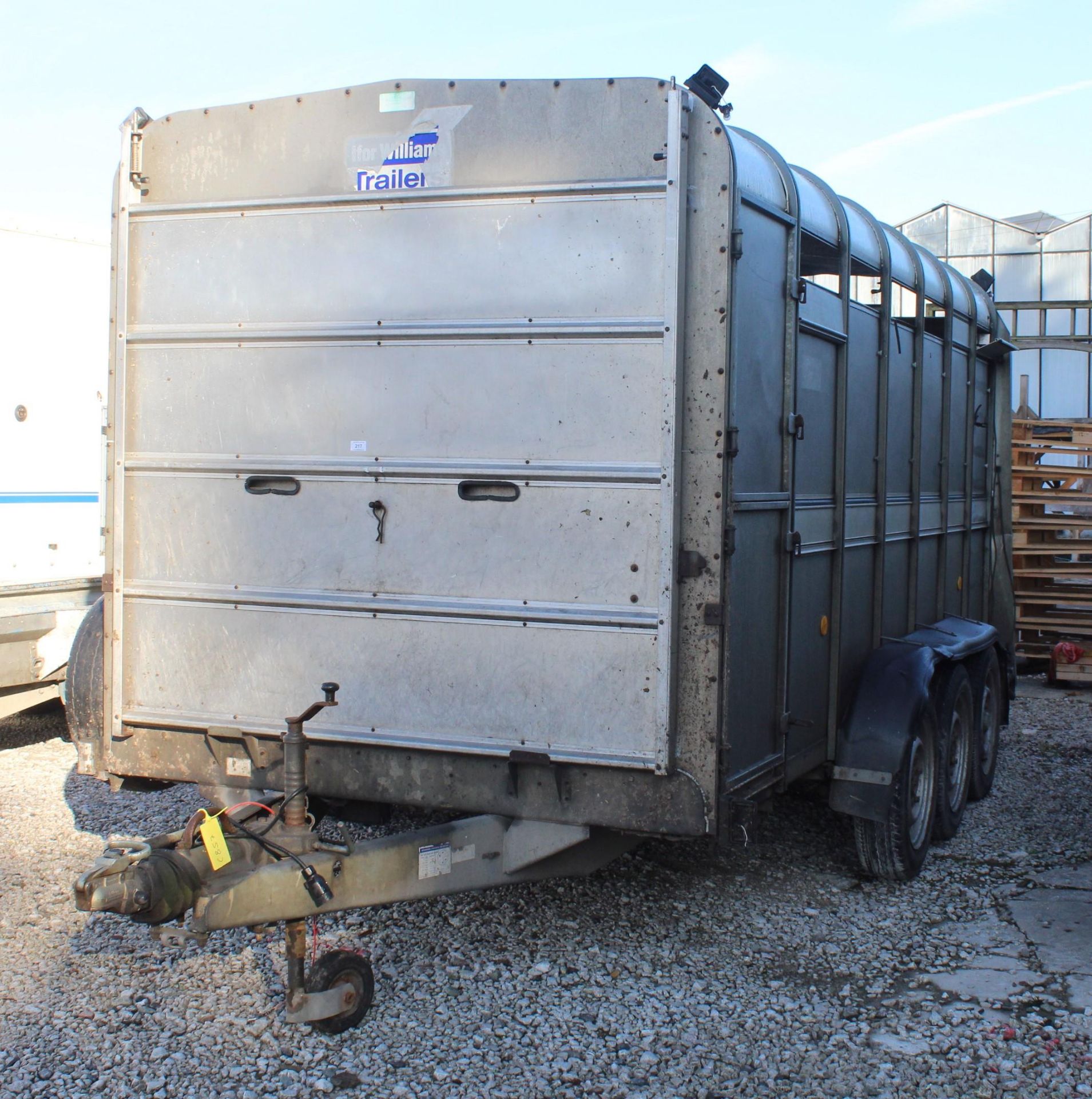 IFOR WILLIAMS TRI AXLE 14' LIVESTOCK TRAILER IN GOOD WORKING ORDER + VAT - Image 2 of 3