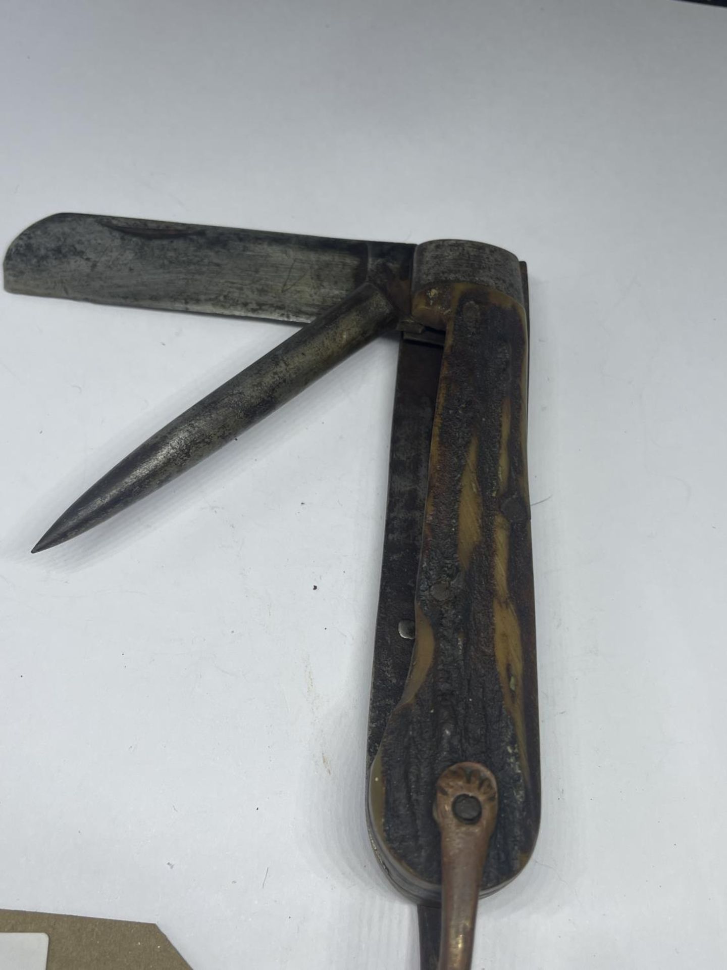 A BONE HANDLED JOSEPH ALLEN AND SONS SHEFFIELD POCKET KNIFE - Bild 2 aus 4