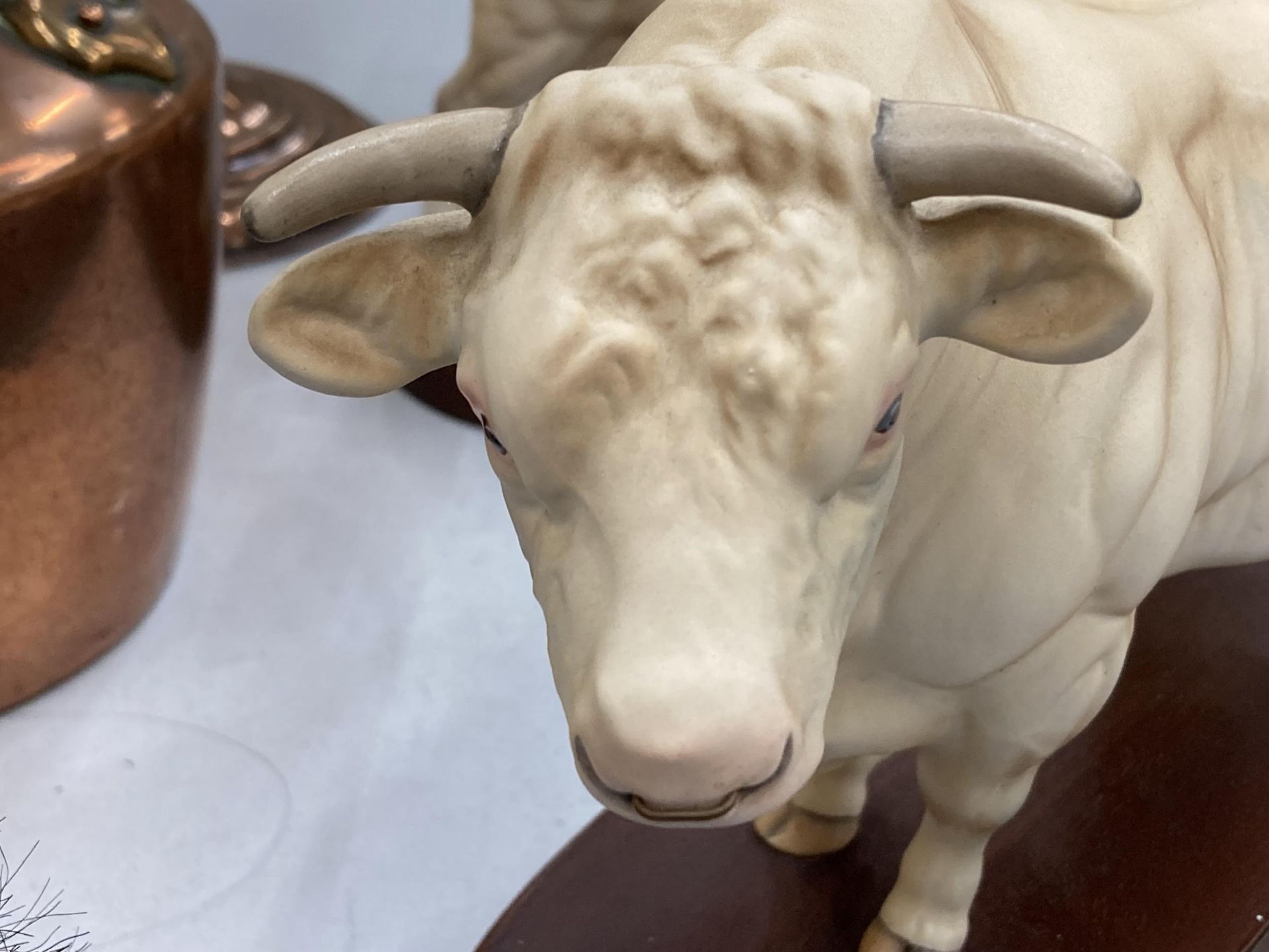 A ROYAL DOULTON CONNOISSEUR COLLECTION CHAROLAIS BULL ON A WOODEN PLINTH - Image 2 of 4