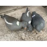 A SET OF THREE PLASTIC DECOY PIGEONS