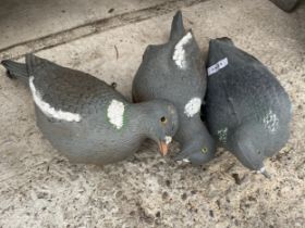 A SET OF THREE PLASTIC DECOY PIGEONS