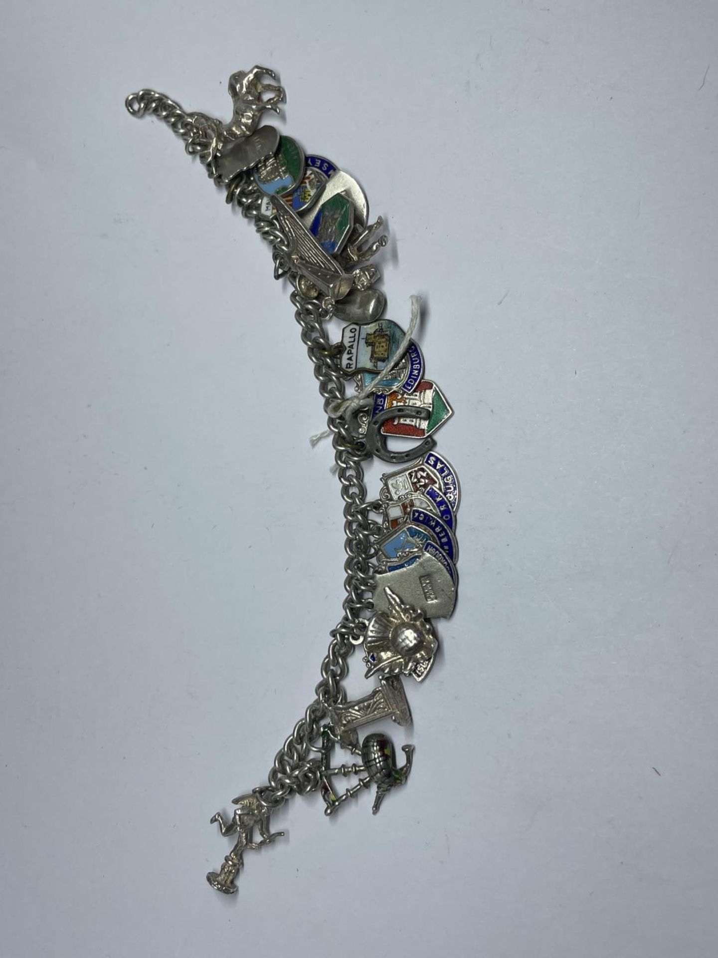 A SILVER CHARM BRACELET WITH TWENTY FOUR VARIOUS CHARMS WEIGHT 48.2 GRAMS