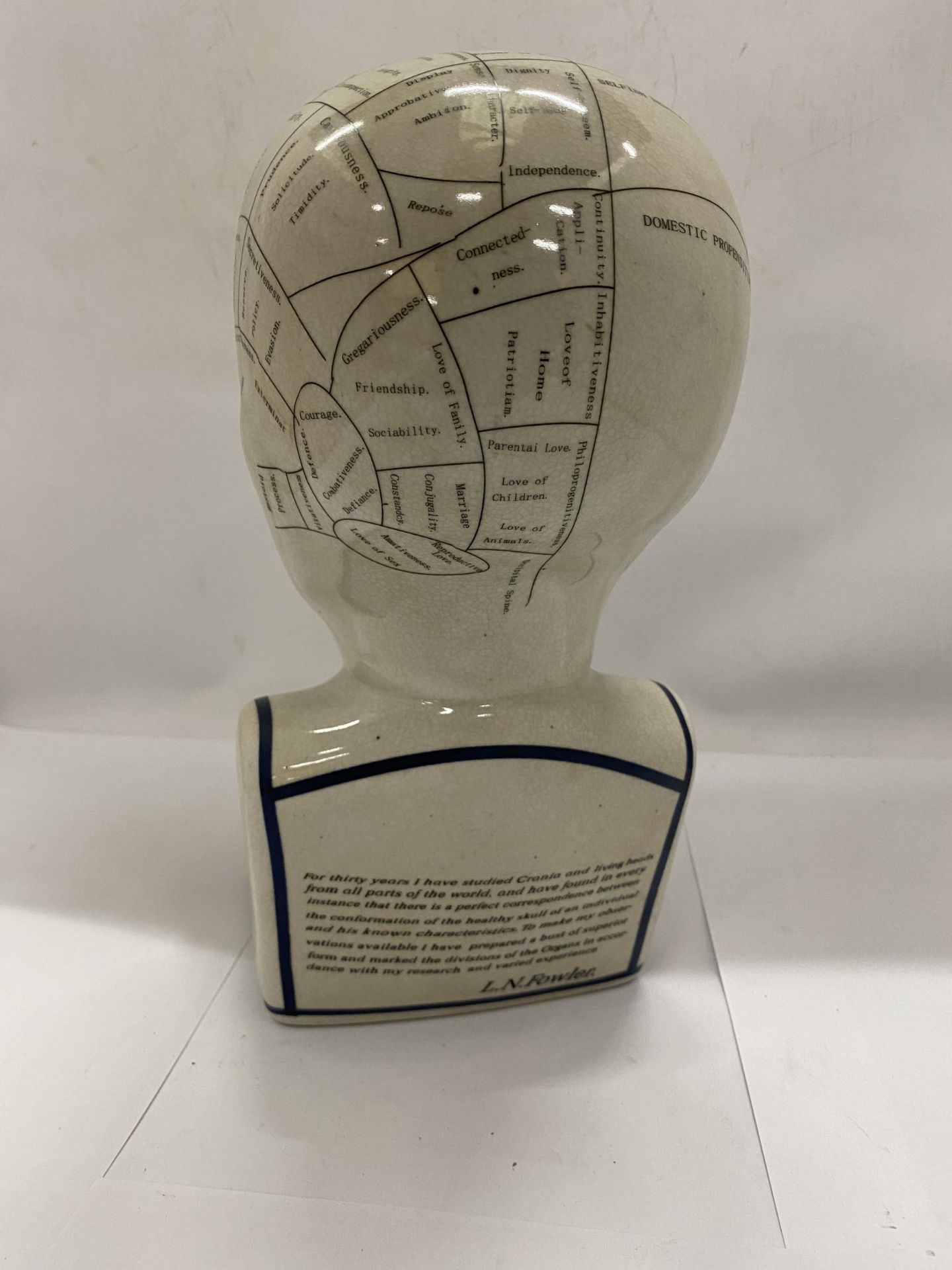 A LARGE PHRENOLOGY HEAD BY L N FOWLER, HEIGHT 28CM - Image 3 of 4