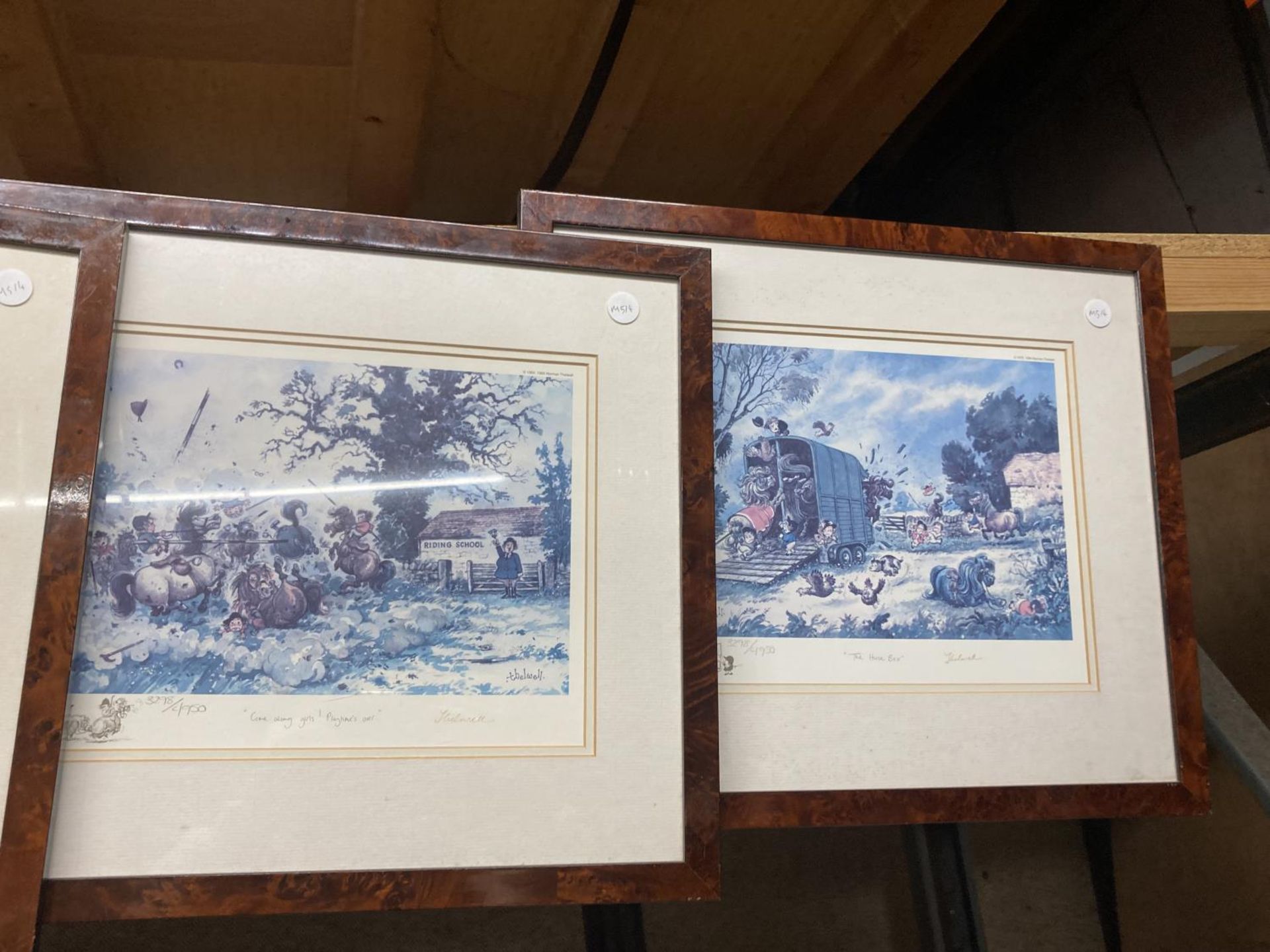 FOUR SIGNED LIMITED EDITION PRINTS BY THELWELL TO INCLUDE "WILLOWBROOK RIDING SCHOOL" "RODEO" " - Bild 3 aus 7