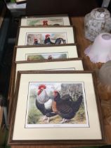 A GROUP OF FIVE FRAMED HEN PRINTS