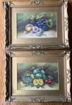 A PAIR OF GILT FRAMED HAND PAINTED STILL LIFE WATERCOLOURS WITH OIL HIGHLIGHTS, SIGNED E.CHESTER, 36