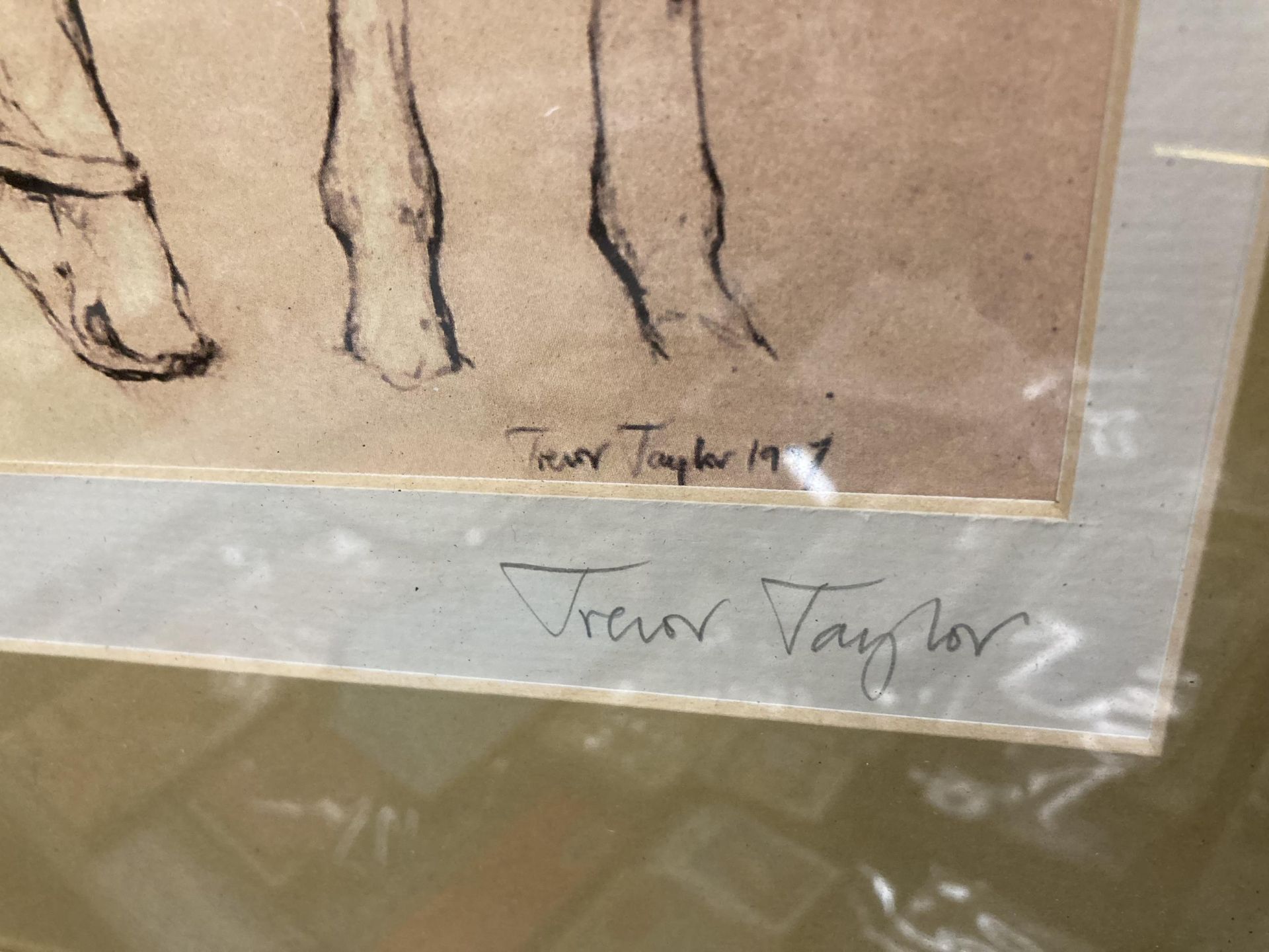 TWO FRAMED PENCIL SIGNED TREVOR TAYLOR HORSE PRINTS - Bild 3 aus 4