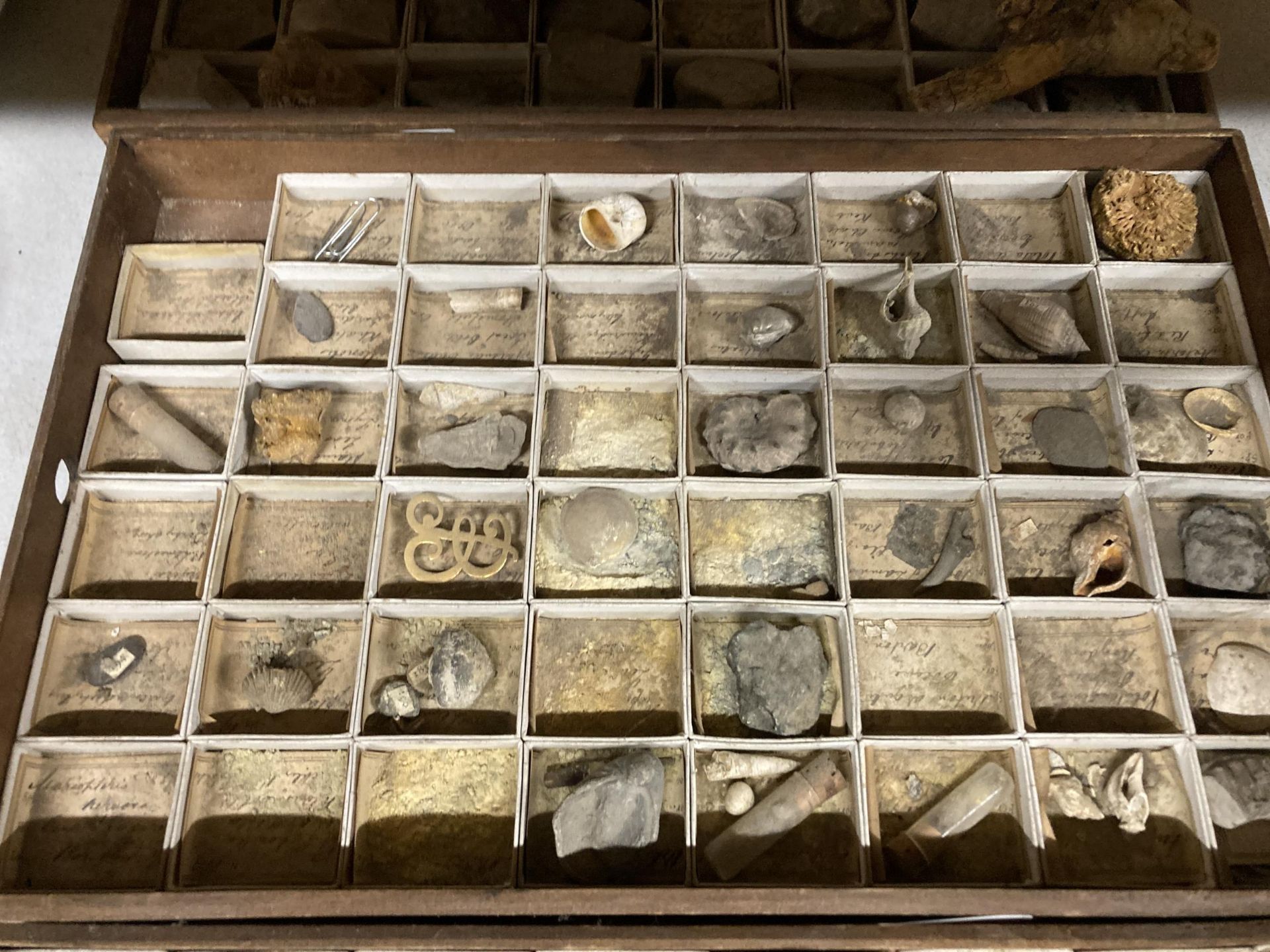 A GROUP OF THREE TRAYS OF ASSORTED ROCKS AND FURTHER GEOLOGY RELATED ITEMS - Bild 3 aus 4