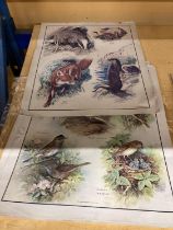 A COLLECTION OF LARGE VINTAGE PRINTS DEPICTING FLOWERS AND ANIMALS - 13 IN TOTAL