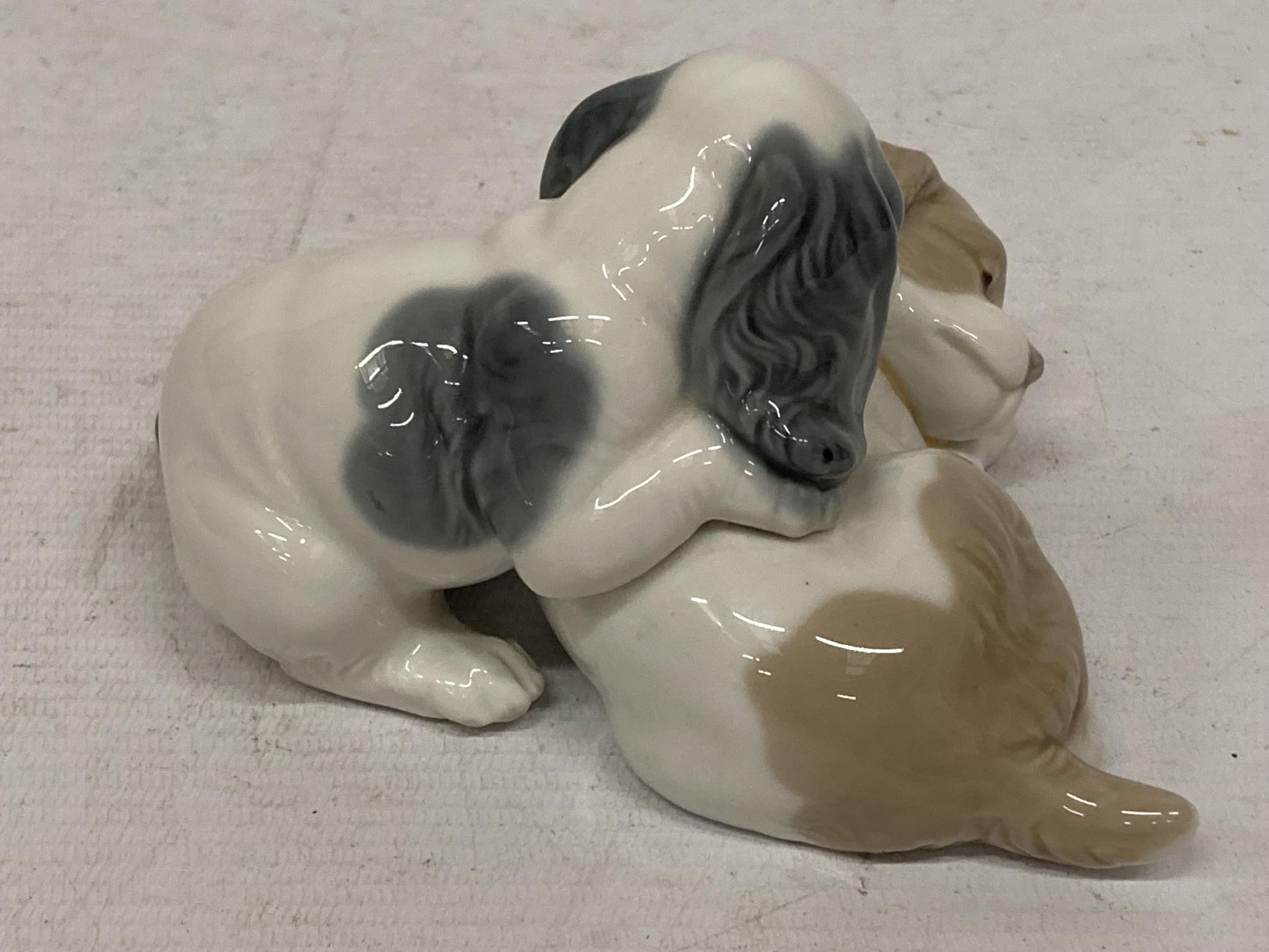 A NAO LLADRO DOGS FIGURE - Bild 2 aus 4