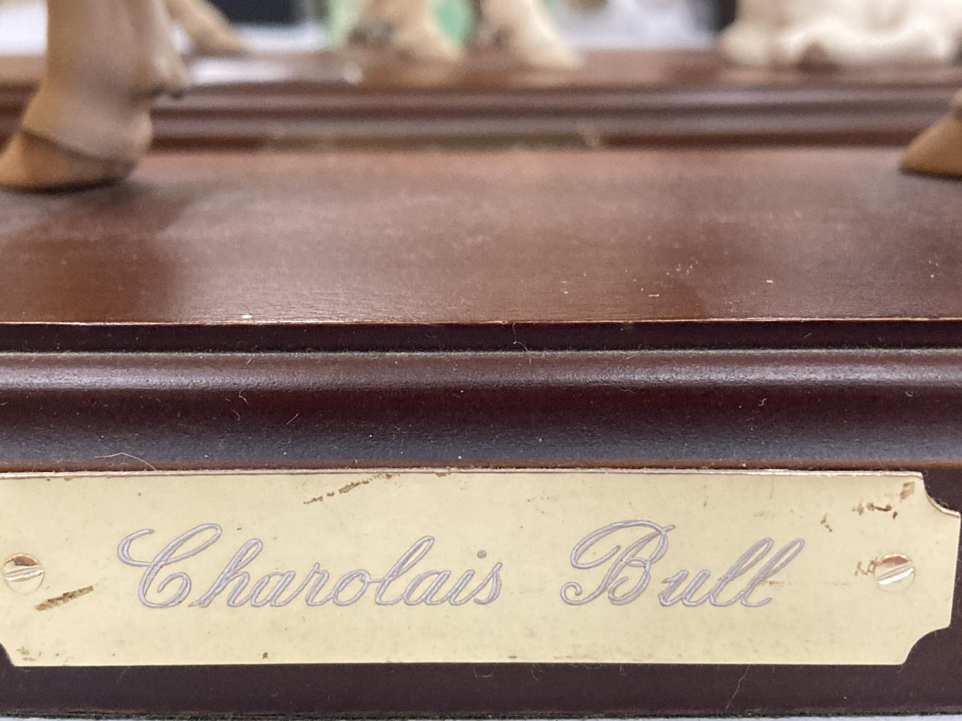 A ROYAL DOULTON CONNOISSEUR COLLECTION CHAROLAIS BULL ON A WOODEN PLINTH - Image 4 of 4