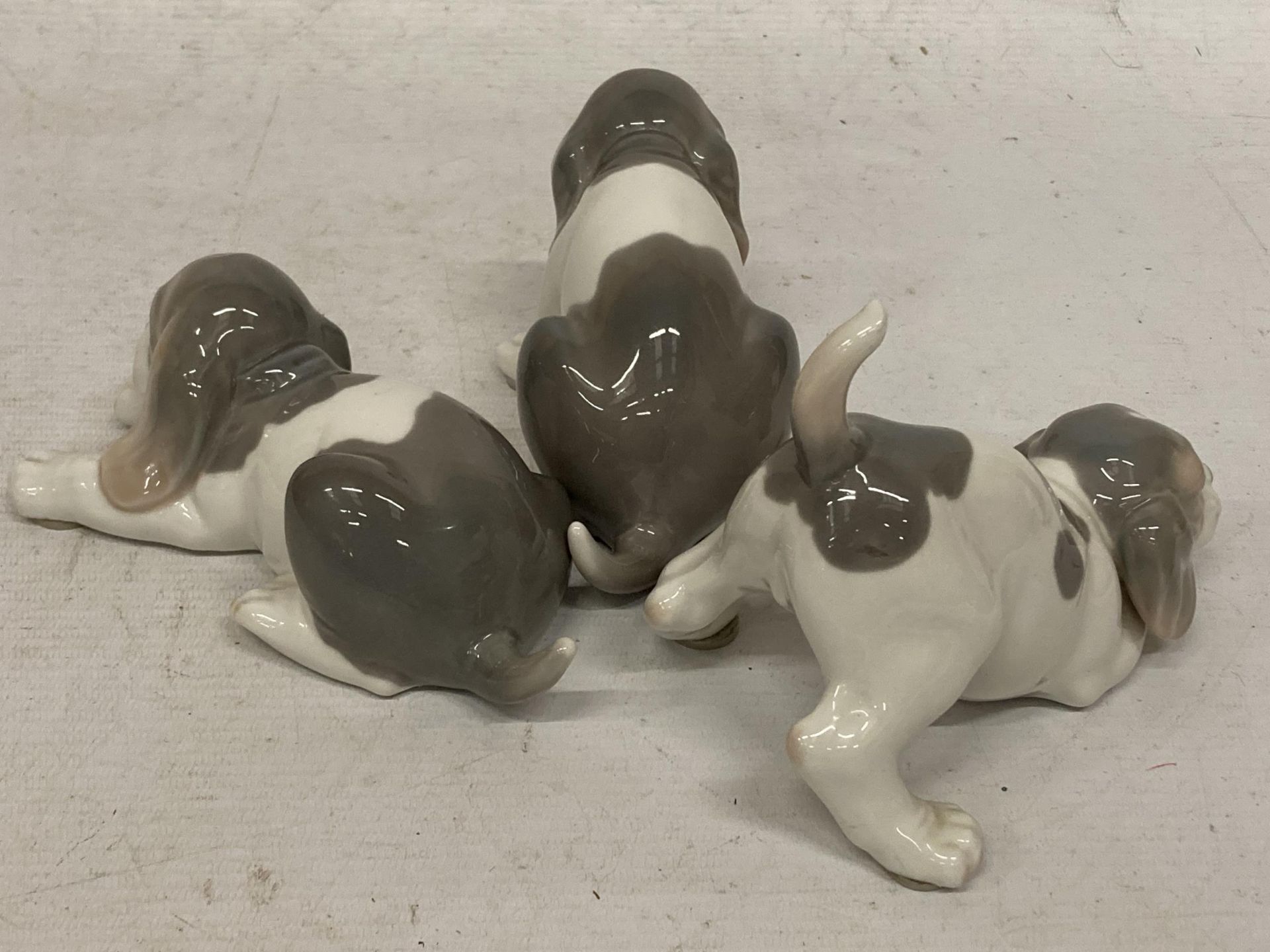 A GROUP OF THREE LLADRO PUPPY DOG FIGURES - Image 3 of 4