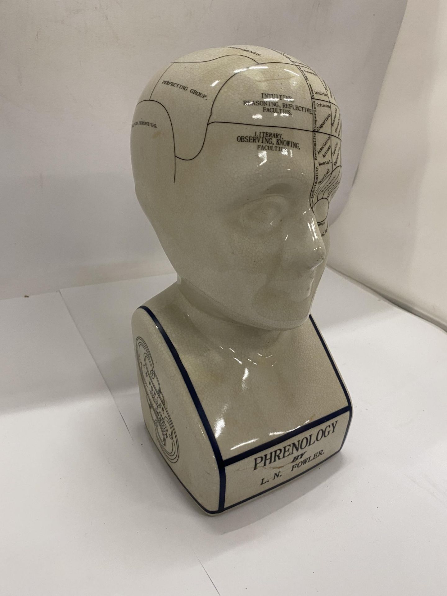 A LARGE PHRENOLOGY HEAD BY L N FOWLER, HEIGHT 28CM