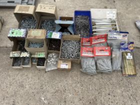 A LARGE ASSORTMENT OF VARIOUS SCREWS ETC