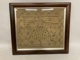 A VICTORIAN 1843 DATED MAHOGANY FRAMED TAPESTRY SAMPLER