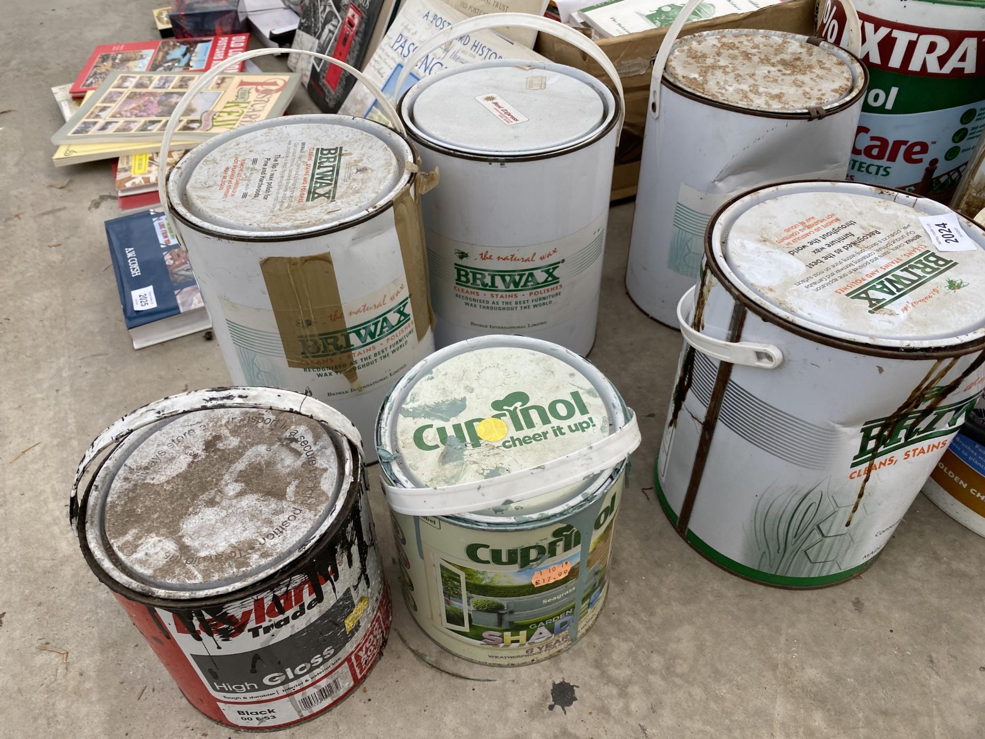 AN ASSORTMENT OF TINS OF PAINT, STAINS AND BRIWAX ETC - Image 4 of 4