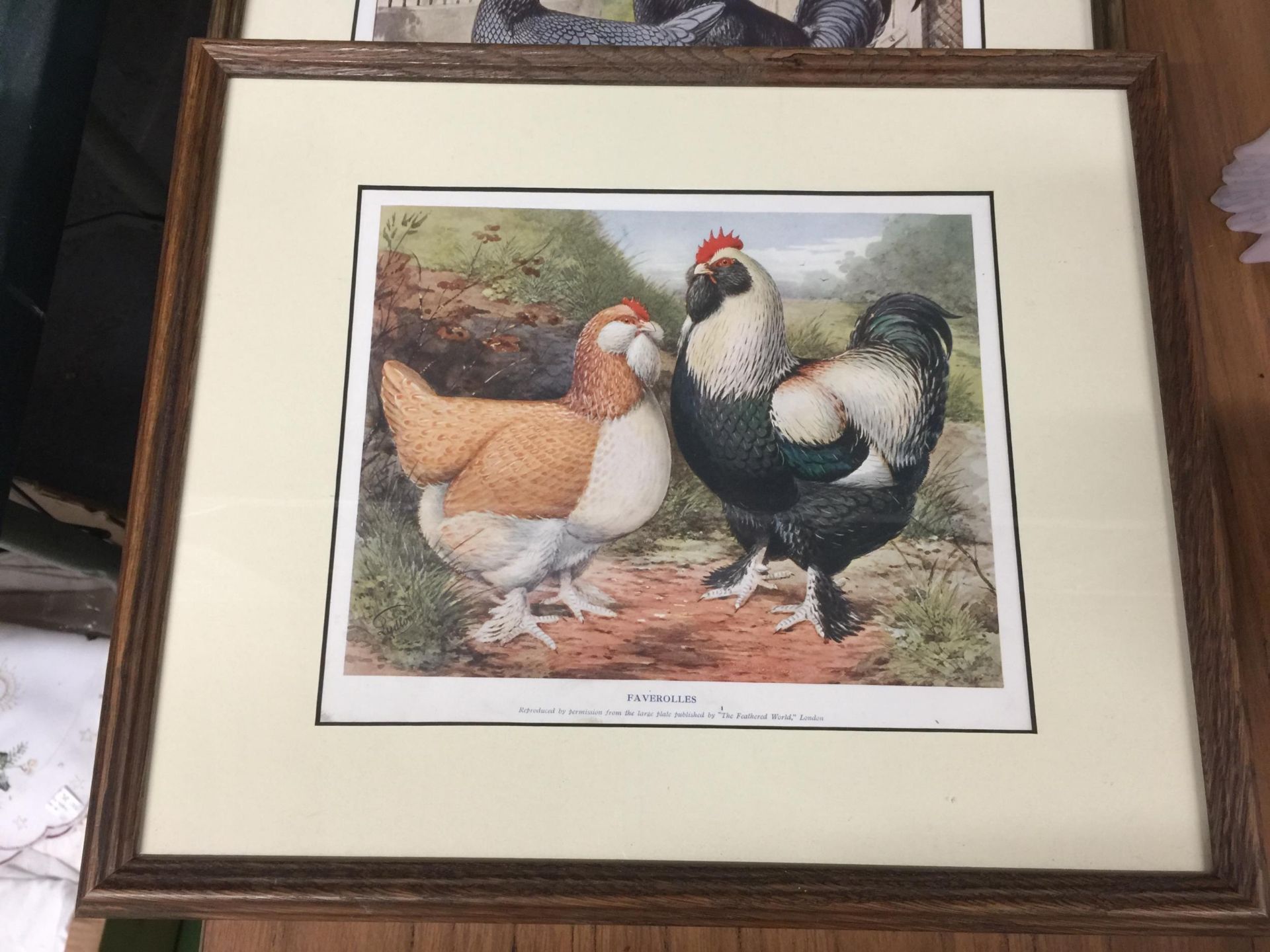 A GROUP OF FIVE FRAMED HEN PRINTS - Image 2 of 3