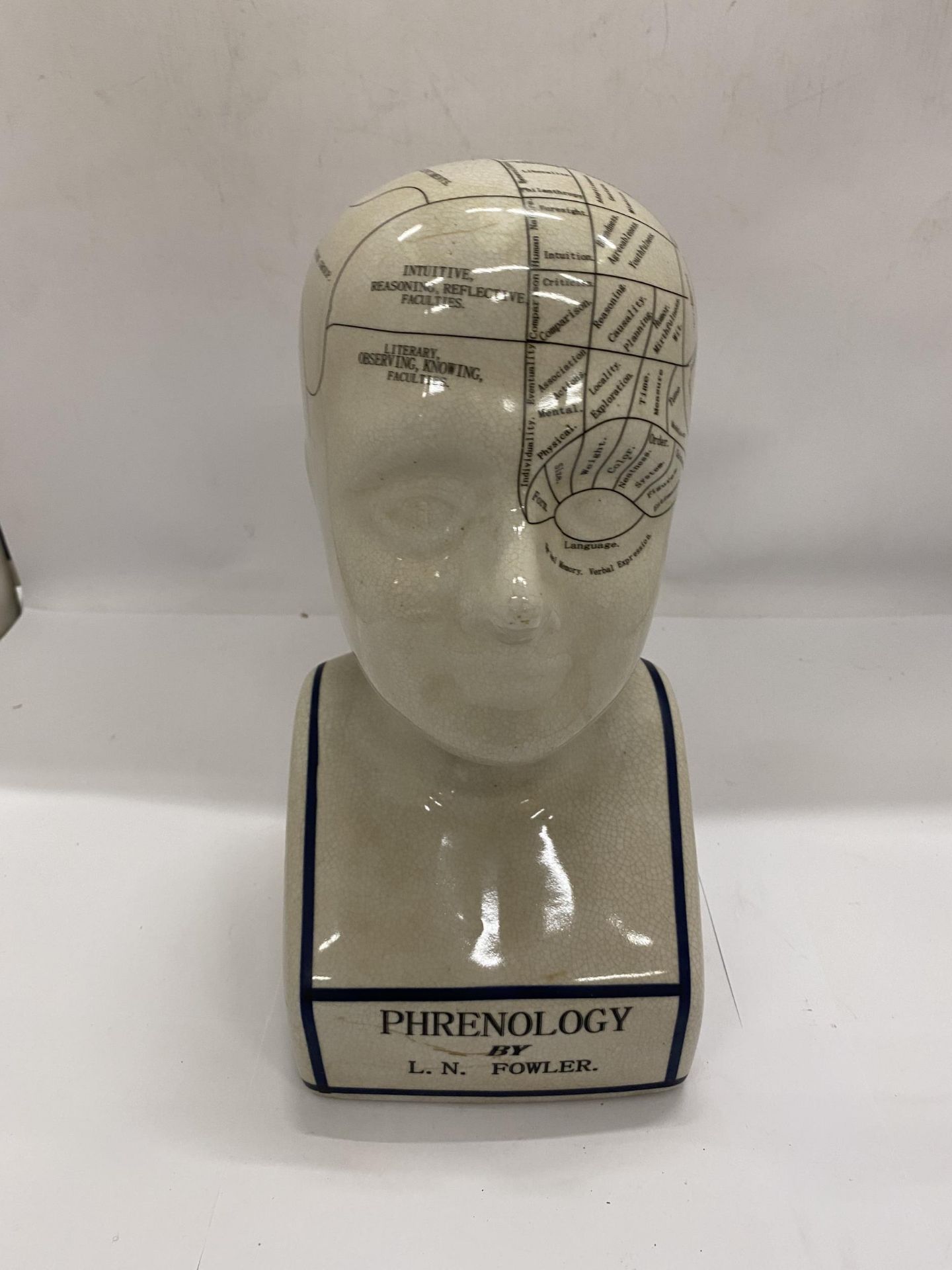 A LARGE PHRENOLOGY HEAD BY L N FOWLER, HEIGHT 28CM - Image 4 of 4