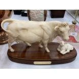 A ROYAL DOULTON CONNOISSEUR COLLECTION CHAROLAIS COW AND CALF ON A WOODEN PLINTH