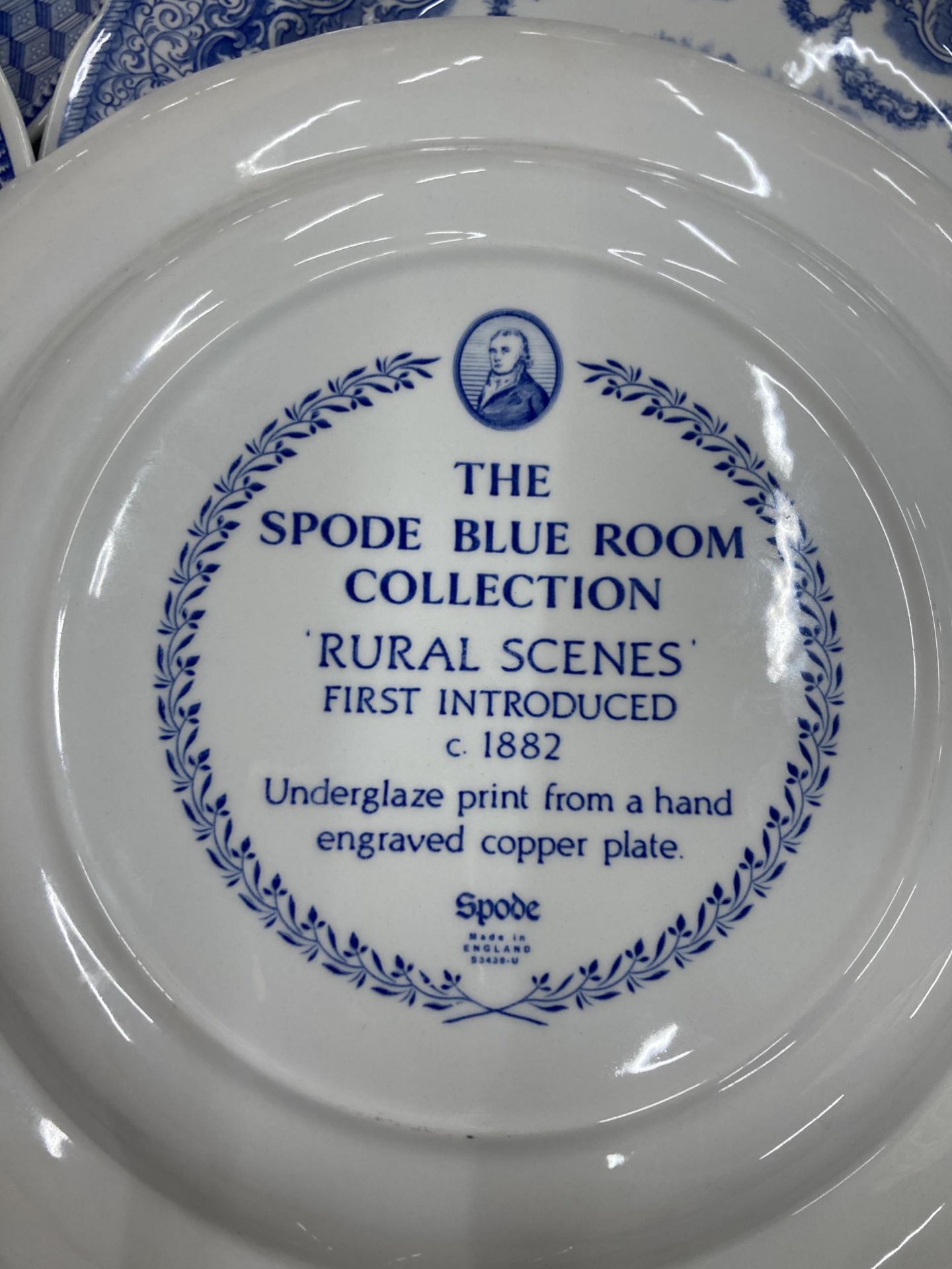 A COLLECTION OF 'THE SPODE BLUE ROOM' CABINET PLATES - 8 IN TOTAL - Image 6 of 6