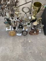 AN ASSORTMENT OF VARIOUS FOOTBALL TROPHIES