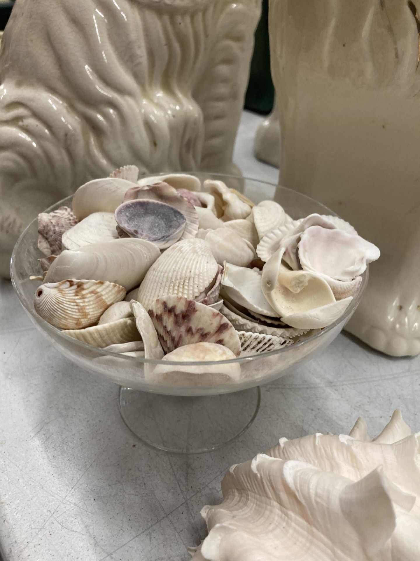 A COLLECTION OF DECORATIVE SEA SHELLS - Image 3 of 4