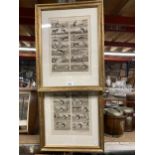 TWO 1925 PEARS' ANNUAL XVTH CENTURY ILLUSTRATED NURSERY RHYMES PRINTS - FRAMED