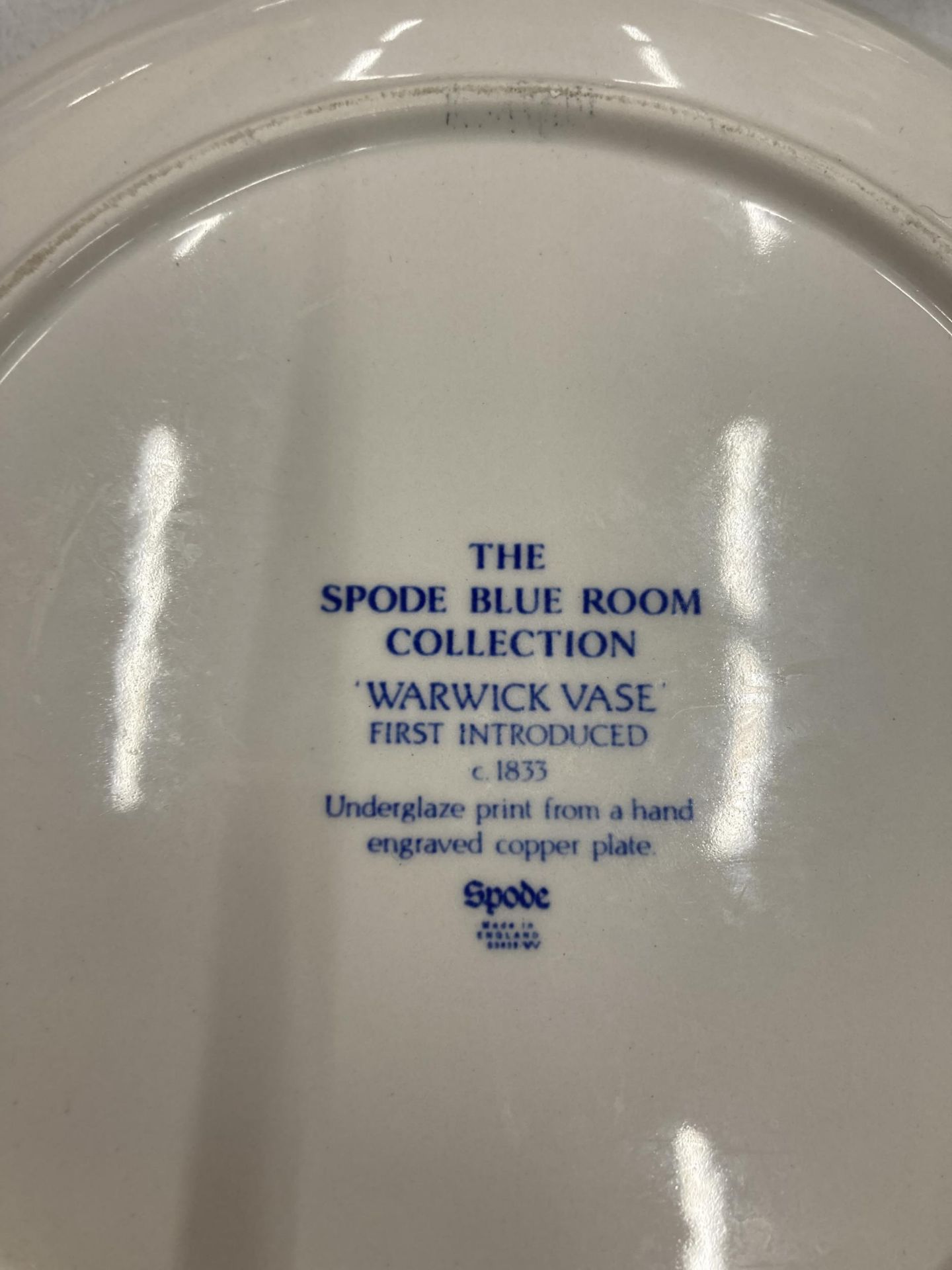 A COLLECTION OF 'THE SPODE BLUE ROOM' CABINET PLATES - 8 IN TOTAL - Image 5 of 6
