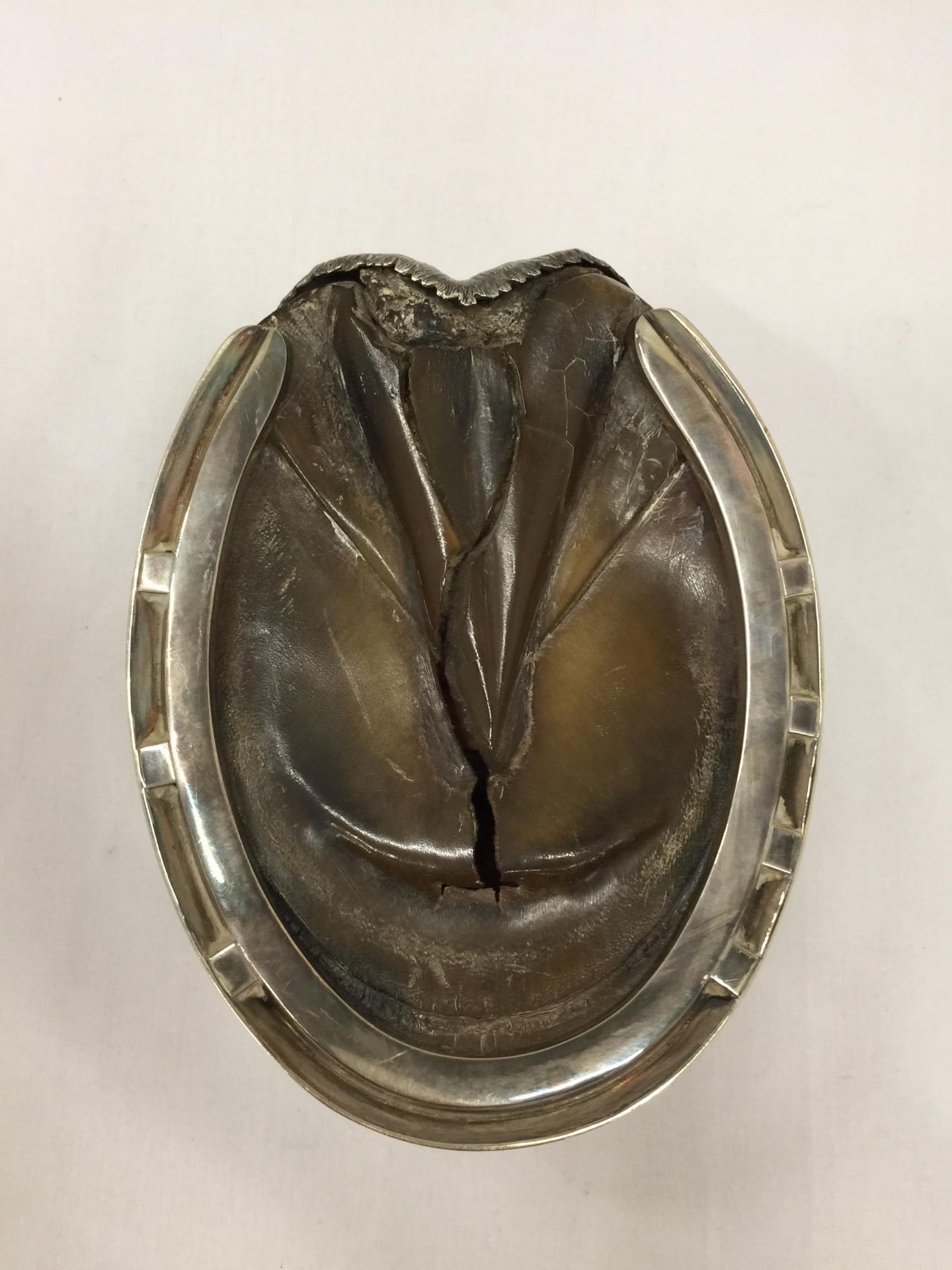 A VINTAGE HORSE HOOF SHOE AND SILVER PLATE MOUNTED INKWELL WITH INNER GLASS LINER - Image 5 of 5