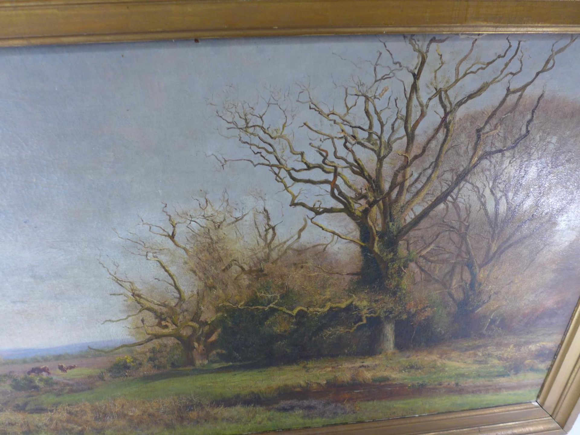 19TH CENTURY SCHOOL, CATTLE IN A WOODED LANDSCAPE, OIL ON CANVAS, 55 X 101CM, FRAMED - Image 6 of 8