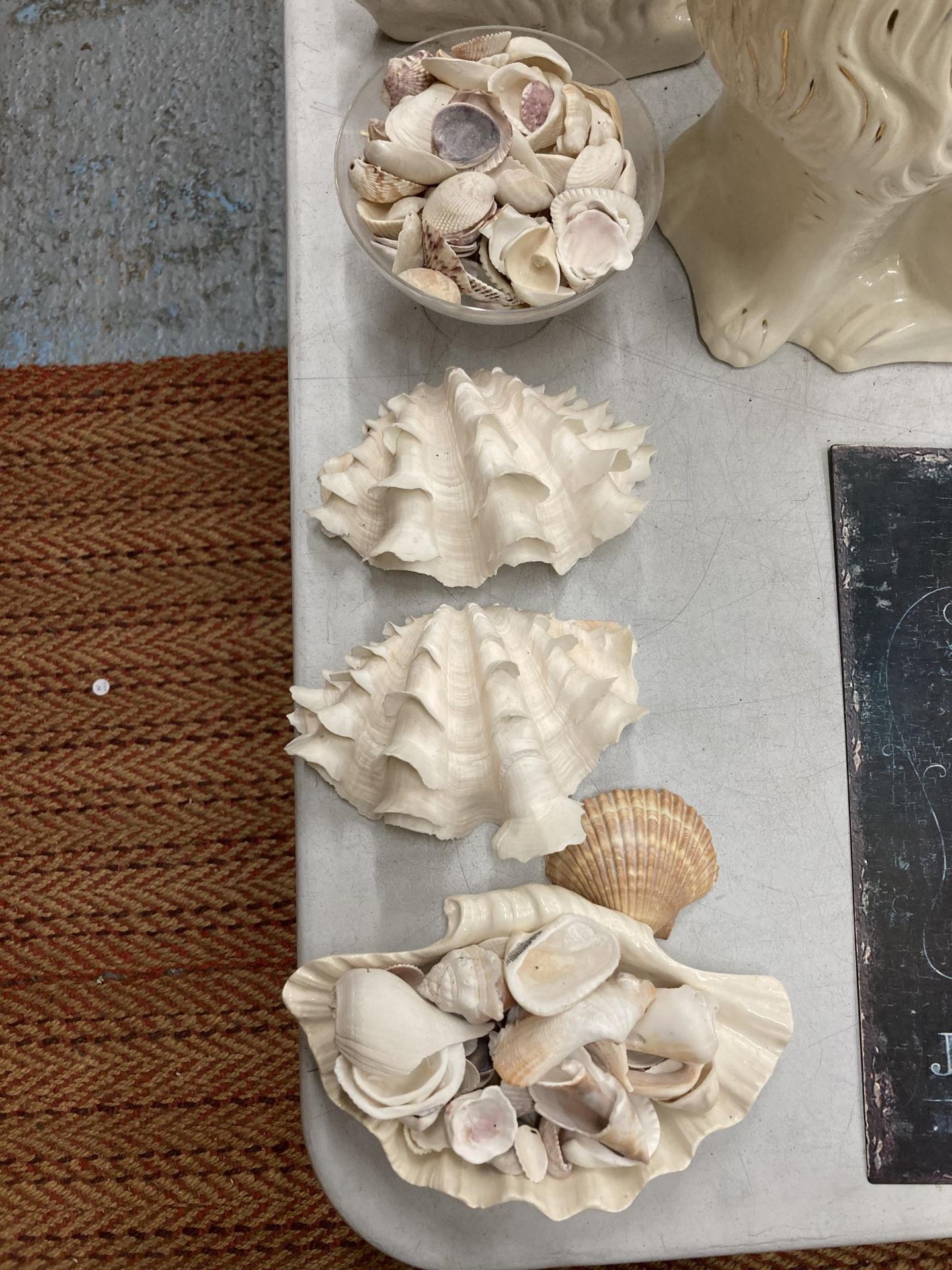 A COLLECTION OF DECORATIVE SEA SHELLS - Image 4 of 4