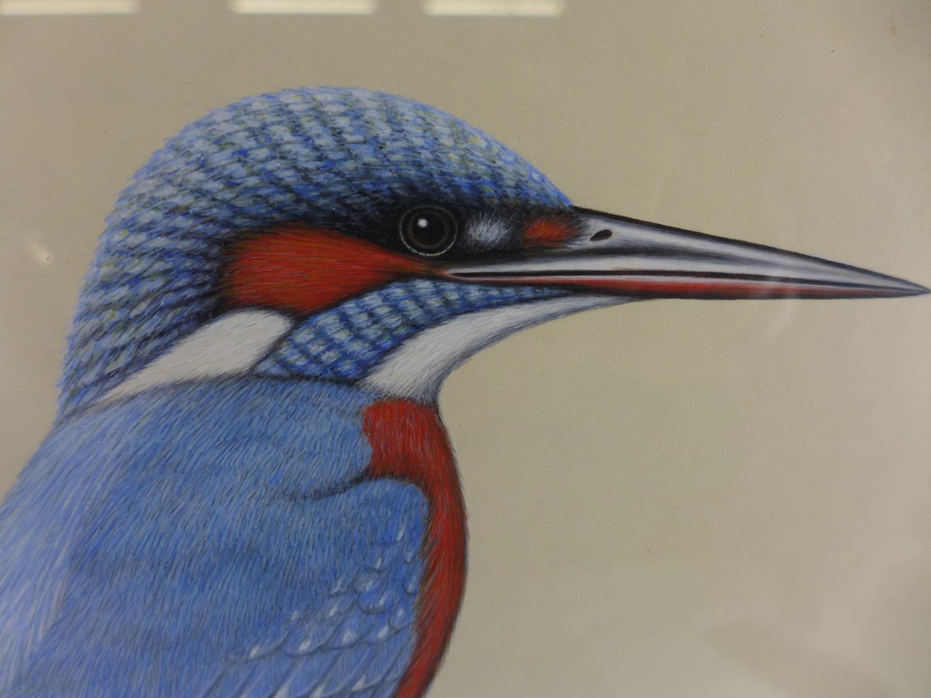 R.H. PETHERICK (BRITISH 20TH CENTURY) KINGFISHER ON A BRANCH, GOUACHE, SIGNED LOWER RIGHT, 27 X - Image 3 of 4